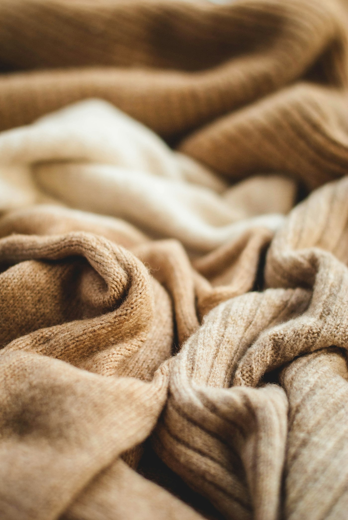 Camel wool folds